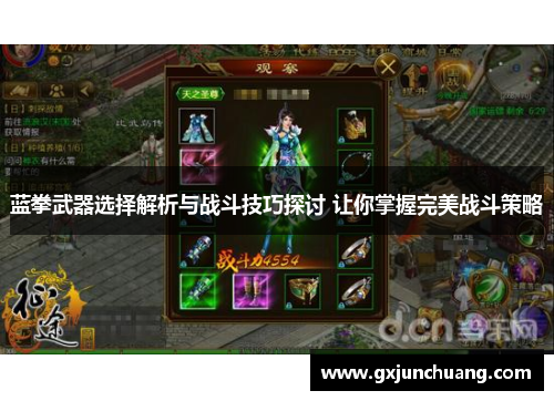 蓝拳武器选择解析与战斗技巧探讨 让你掌握完美战斗策略