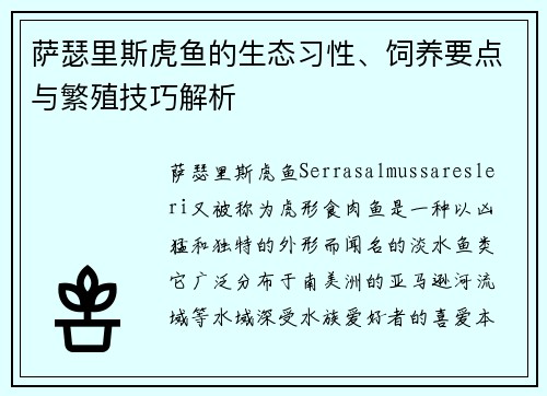 萨瑟里斯虎鱼的生态习性、饲养要点与繁殖技巧解析